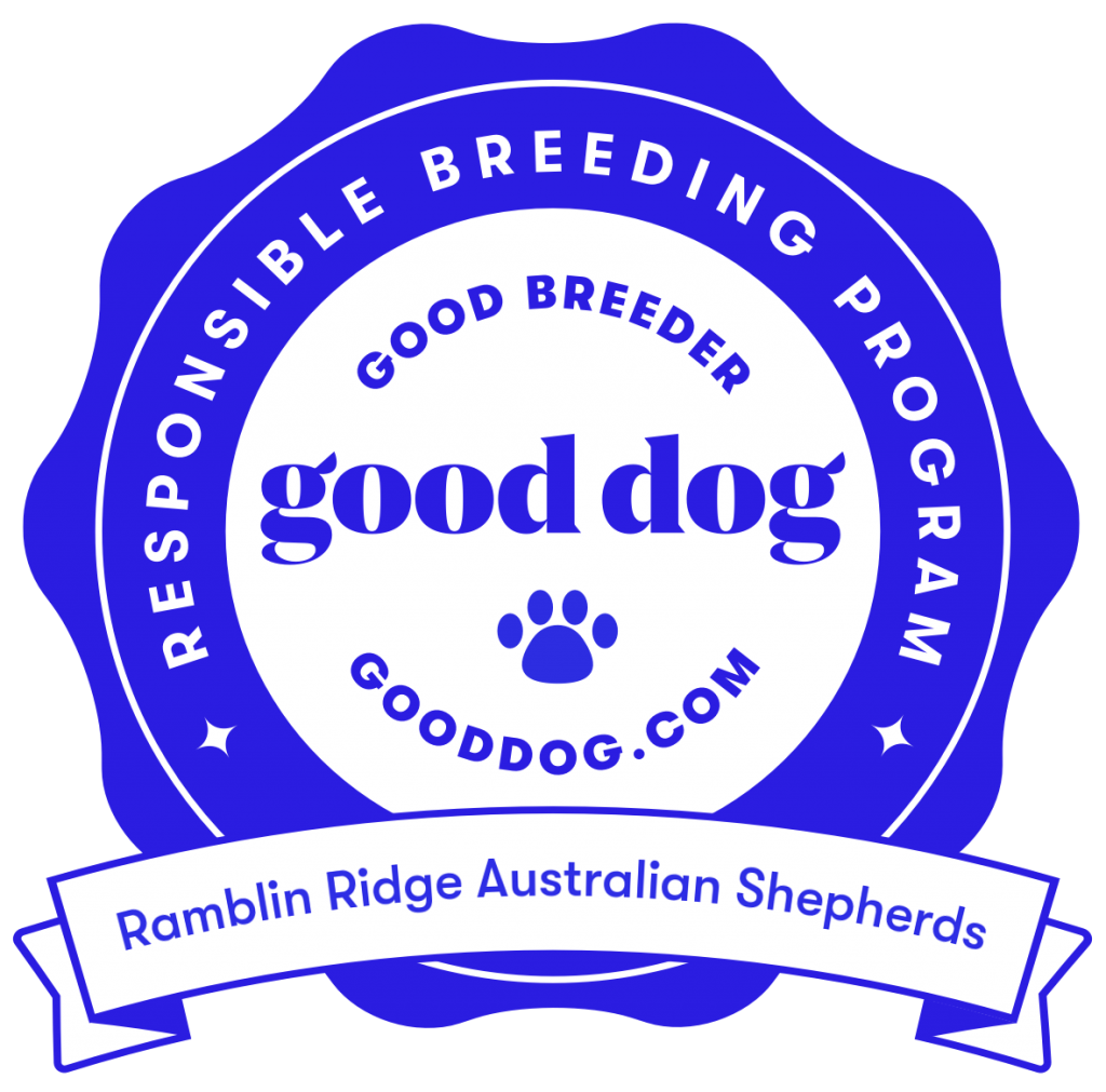 Ramblin Ridge Aussies: AKC Australian Shepherd Breeders ...